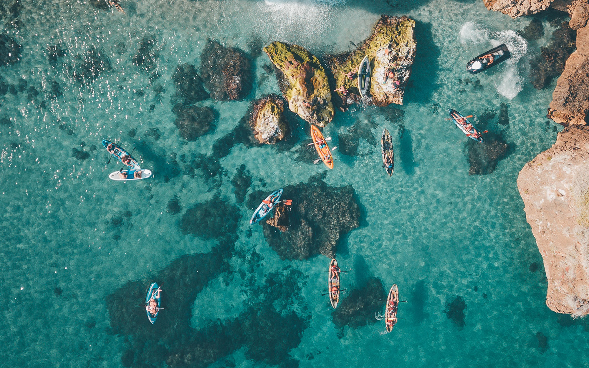 The art of nature photography